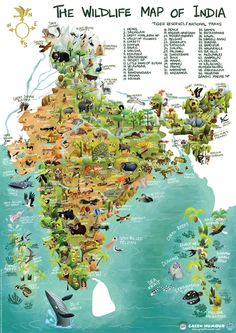 the wildlife map of india is shown here