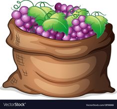 a bag full of grapes on a white background