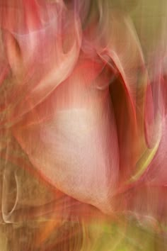 an abstract photograph of pink flowers in motion