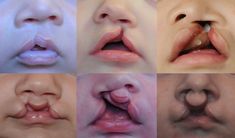 multiple images of different types of lips and noses