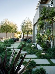 a house with lots of plants in front of it