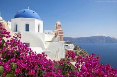 purple flowers in front of a white building with blue dome on the cliff overlooking the ocean