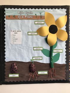 the life cycle of a plant made out of paper