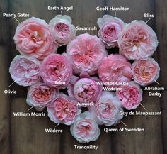 a bunch of pink flowers sitting on top of a wooden table