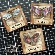 three different types of butterflies on display in wooden frames with words that read archive, field and collect