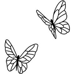 two butterflies flying side by side on a white background, one is black and the other is