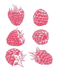 four raspberries are shown in red on a white background, each with different shapes and sizes