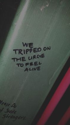 we triped on the large to feel alive written on a toilet seat lid with graffiti