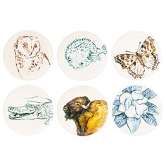 six plates with different animal designs on them