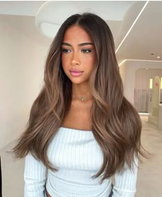 Light Brown Balayage Brunettes, Dark Lived In Hair, Brown Hair Color For Pale Skin, Neutral Toned Brown Hair, Honey Brown Babylights, Brown Hair With Tan Skin, Hair Color For Golden Skin Tone, Warm Ashy Brown Hair, Fall Hair Color For Dark Brunettes