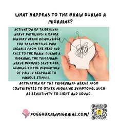 Here's the science behind it! Trigeminal Nerve, Sensory Nerves