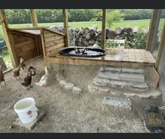 chickens are walking around in an enclosed area with stone steps and a water trough on the ground