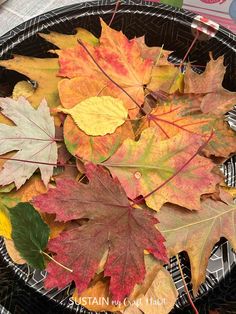 several different colored leaves in a black basket on a table with other autumn and fall foliage