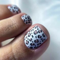 Nail Designs For Men, Pedicure Nail Designs, Toe Polish, Pedicure Designs, Cute Toes, Animal Print Nails, Toe Nail Designs, Toe Nail Art