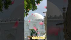 an image of a white building with pink petals in the air and trees around it