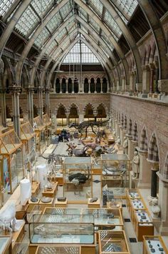 the inside of a museum filled with lots of glass cases