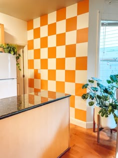 an orange and white checkered wall in a kitchen with a plant on the counter