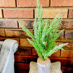 a green plant sitting in a vase on top of a white chair next to a brick wall