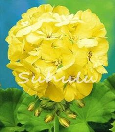 a yellow flower with green leaves in front of a blue and green background is shown