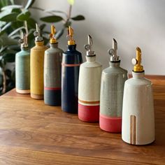 five different colored ceramic flasks lined up on a wooden table next to a potted plant