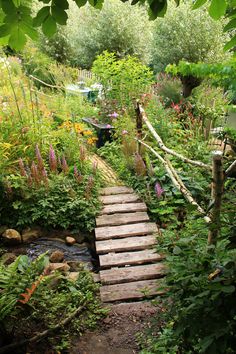 a wooden walkway in the middle of a garden