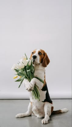 a dog holding flowers in its paws while sitting on the floor with it's front paws