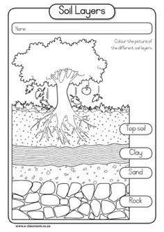 the soil layers worksheet for kids to help students learn how to read and write