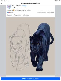 a drawing of a black panther and a cheetah on the left side of an instagram page