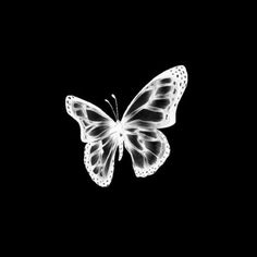 a white butterfly flying through the air