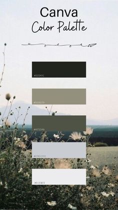 the color palette is shown in shades of gray, black and white with an image of flowers