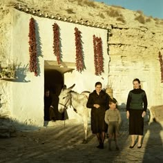 two women and a child are walking with a horse