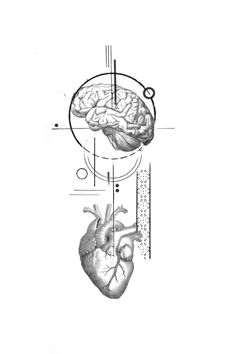 a drawing of a human heart and brain in black and white with an arrow pointing to the right