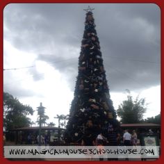 a very large christmas tree with people around it