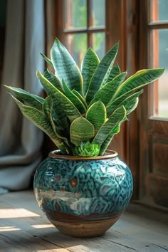 a potted plant sitting on top of a wooden table next to a windowsill