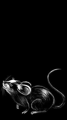 a black and white drawing of a rat