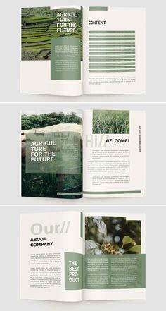 an open magazine is shown in three different colors and font options, including green leaves