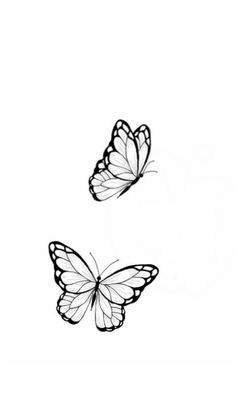 two butterflies flying side by side on a white background, one is black and the other is