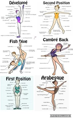 the different types of yoga poses and their names