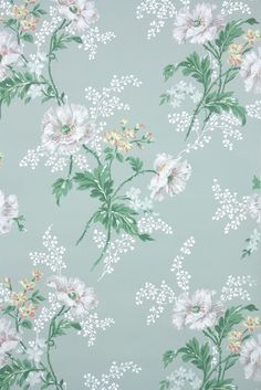 a floral wallpaper with white flowers and green leaves on a light blue background,