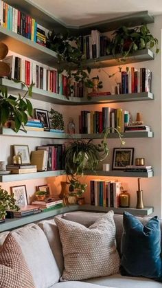 a living room filled with lots of books and plants on the shelves next to a couch