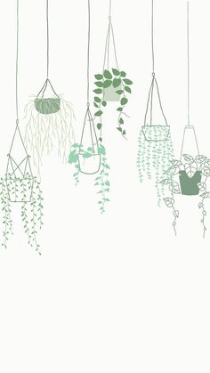 several hanging planters filled with green plants