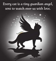 a black cat with angel wings on it's back and the words every cat is a tiny guardian angel, sent to watch over us with love