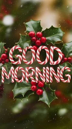 the words good morning are surrounded by holly berries and candy canes