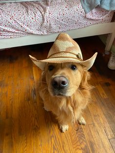 a brown dog wearing a cowboy hat on top of a wooden floor next to a bed