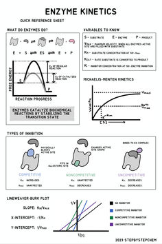 Reference sheet for enzyme kinetics for biochemistry students. Explains general theory, key terms, and types of inhibitors. Enzymes Biochemistry, Lipids Biochemistry Notes, Enzyme Kinetics, Mcat Study Tips, Mcat Study, Medicine Notes, Biology Resources