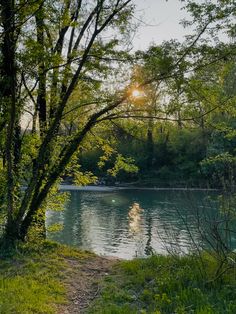 the sun shines brightly through the trees over the water