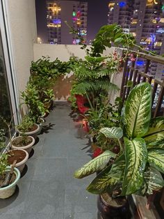 there are many potted plants on the balcony