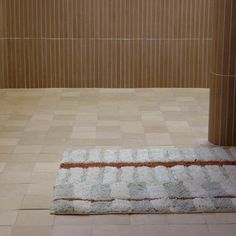 a white rug sitting on top of a bathroom floor next to a toilet paper dispenser