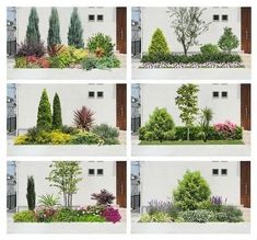 several different types of trees and shrubs in various stages of growth, with the words