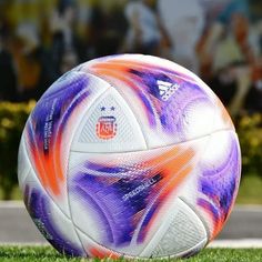 a soccer ball sitting on top of a lush green field next to a crowd in the background